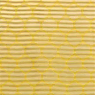 Regard Jaune 4152 01 52
