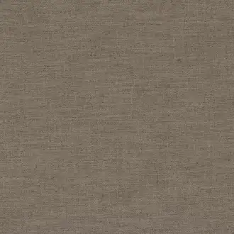 Biarritz Chamois 4196 11 22