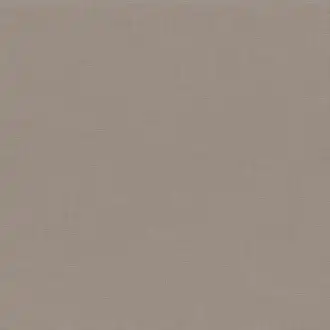 Esprit Taupe 3315 24 62