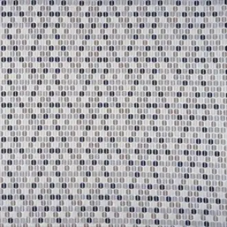 Calyx CAL 3479 04 16
