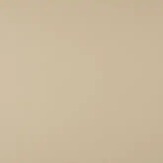 Newton Beige 1 2666 11 35
