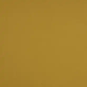 Newton Yellow 2666 21 05